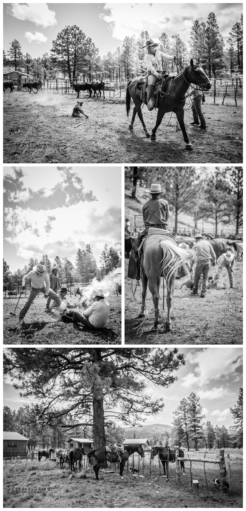 New Mexico Cowboy Ranch Branding by Photographer Lyndsey Garber
