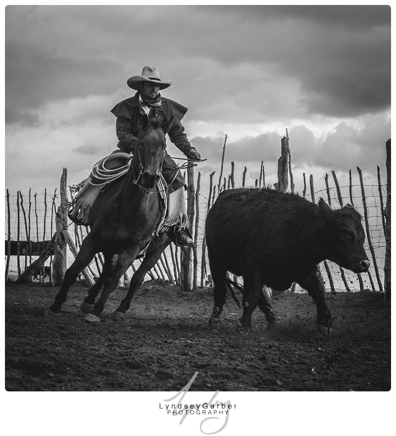 New Mexico, Cowboy, Ranch, Weaning, Photography, Photographer
