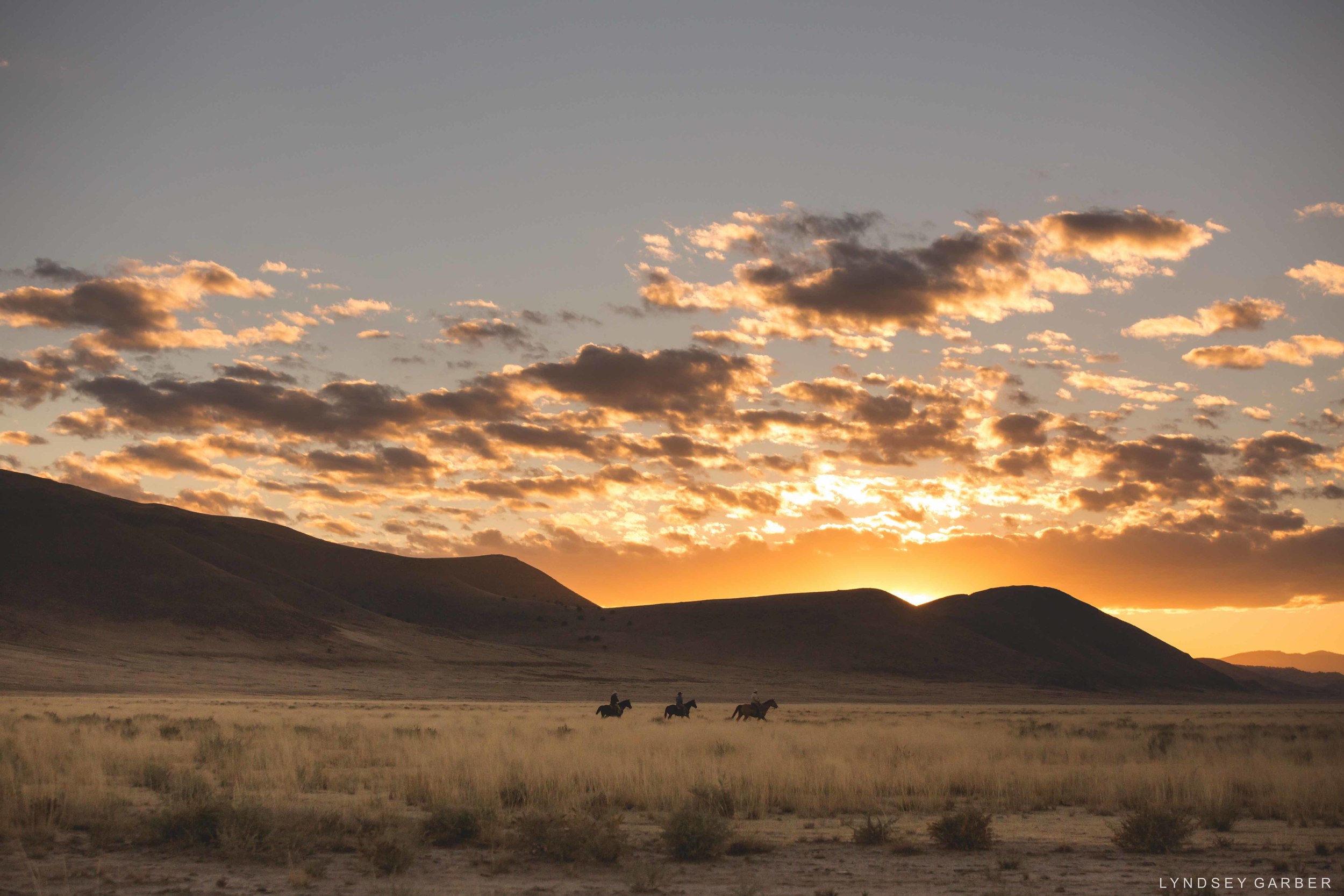 Cowboy Photography | Weaning Calves Fall 2015