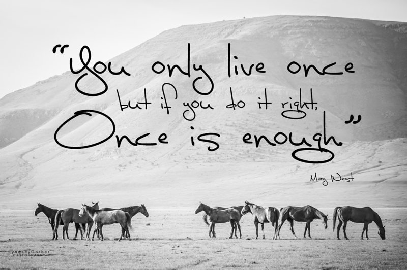 New Mexico, Horses, Cowboy, Ranchlife, Western, Photography, Inspirational , Quote