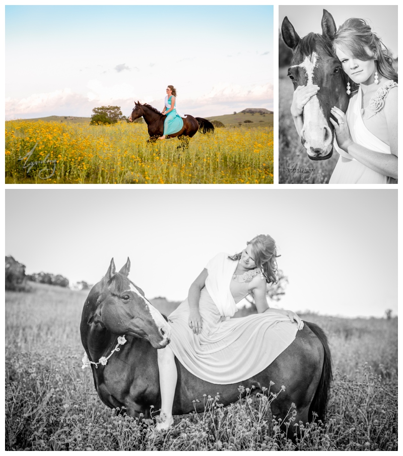 Cowgirl, horsewoman, senior, photography, bareback, horse, new mexico, 