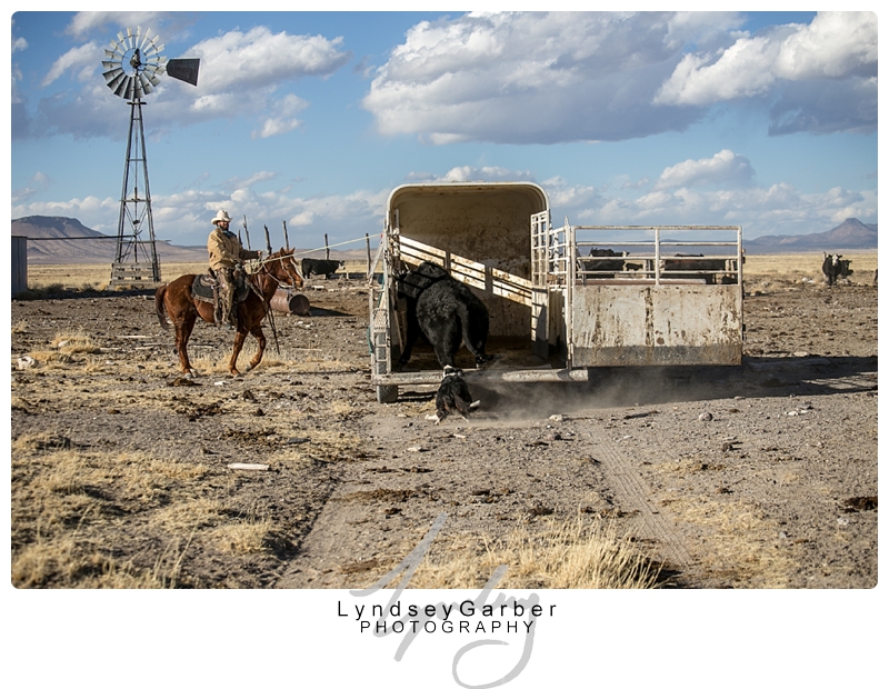 New Mexico, Ranchlife, Cowboy, Western Art, Photography