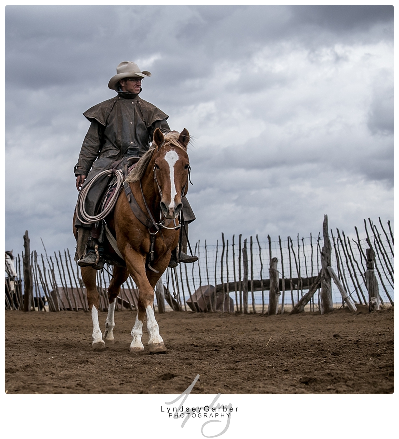 New Mexico, Cowboy, Ranch, Weaning, Photography, Photographer