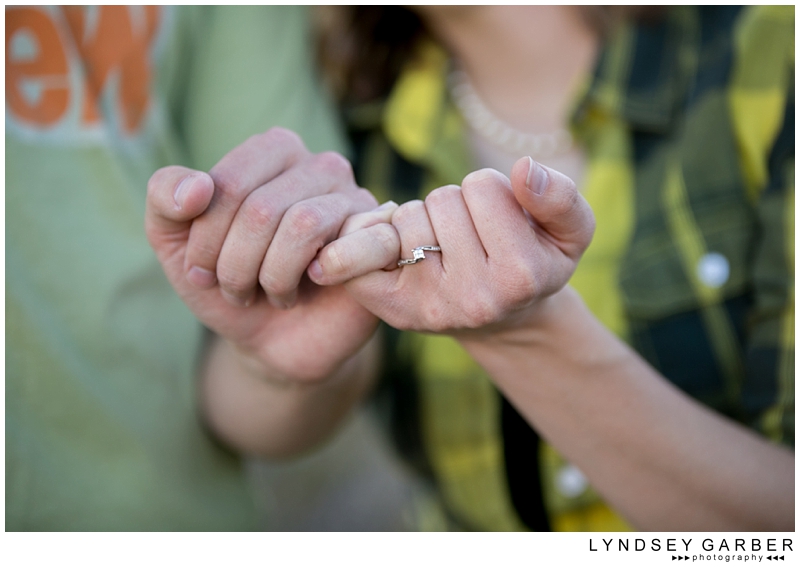 Las Cruces, New Mexico, Desert, Engagement, Session 