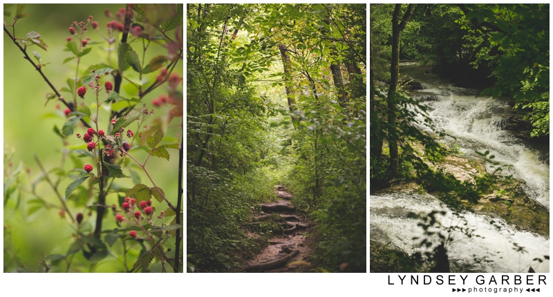 Lexington, Kentucky, Engagement, Photography, Photographer, Raven Run Nature Sanctuary, Country, Western, Couple 