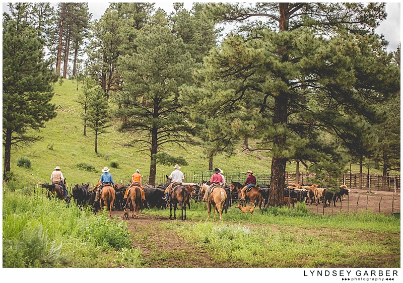 New Mexico, Ranch, Cowboy, Lifestyle, Photography, Photographer, Cattle, Branding, American Cowboy,