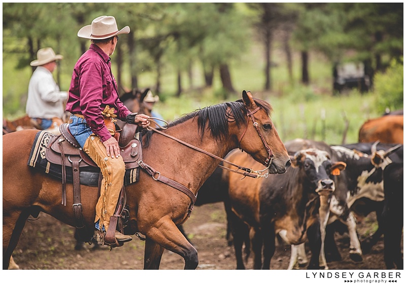 New Mexico, Ranch, Cowboy, Lifestyle, Photography, Photographer, Cattle, Branding, American Cowboy,